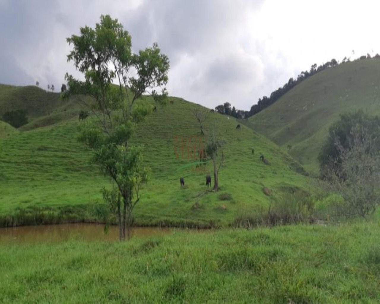 Fazenda de 131 ha em Jacareí, SP