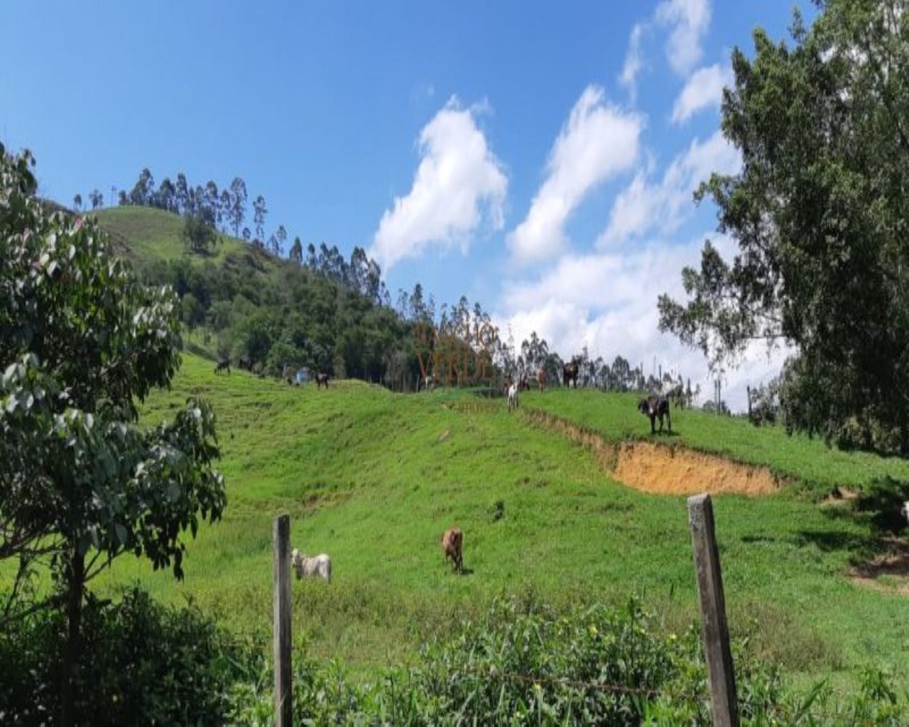 Fazenda de 131 ha em Jacareí, SP