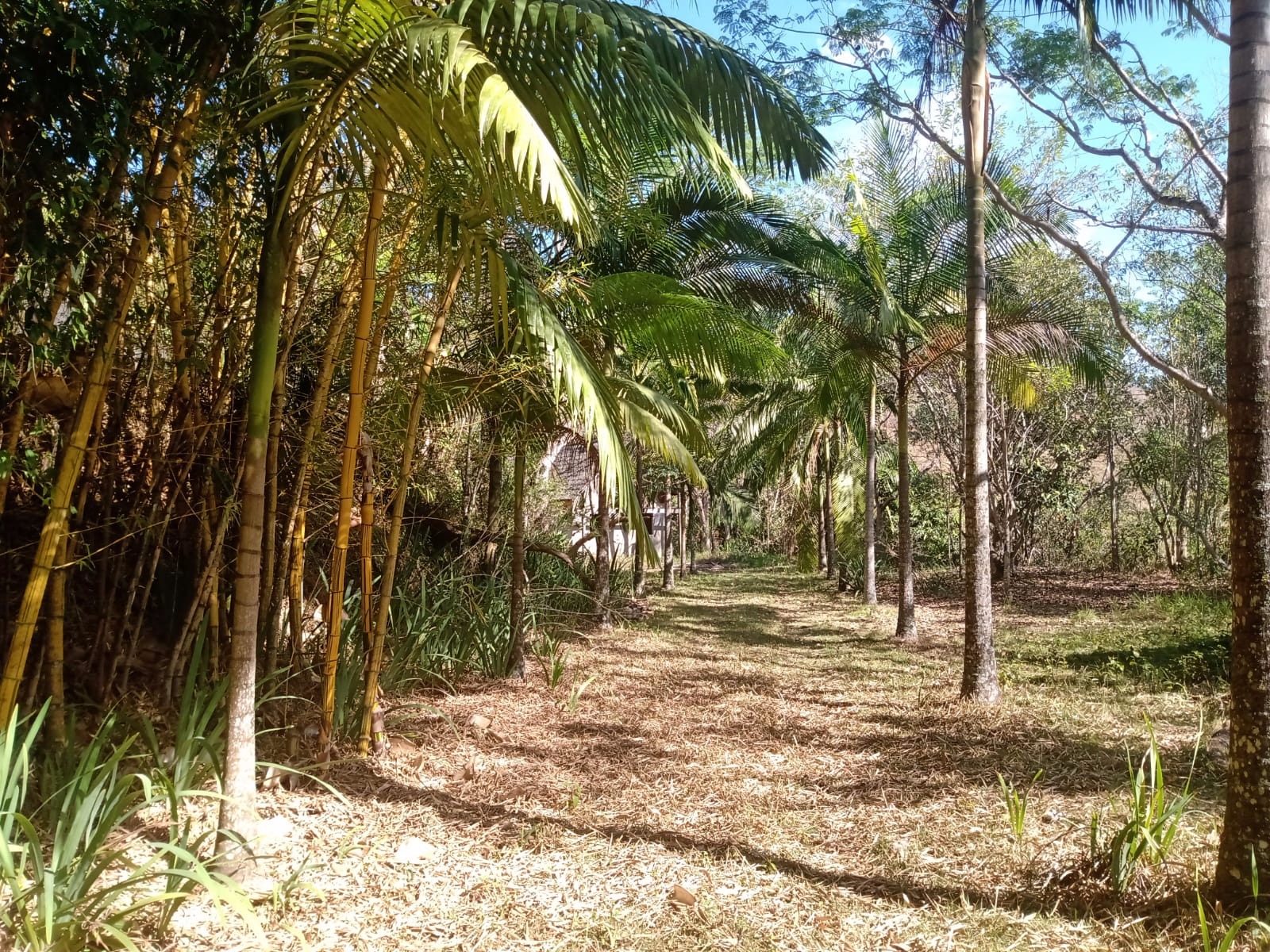 Sítio de 5 ha em São José dos Campos, SP