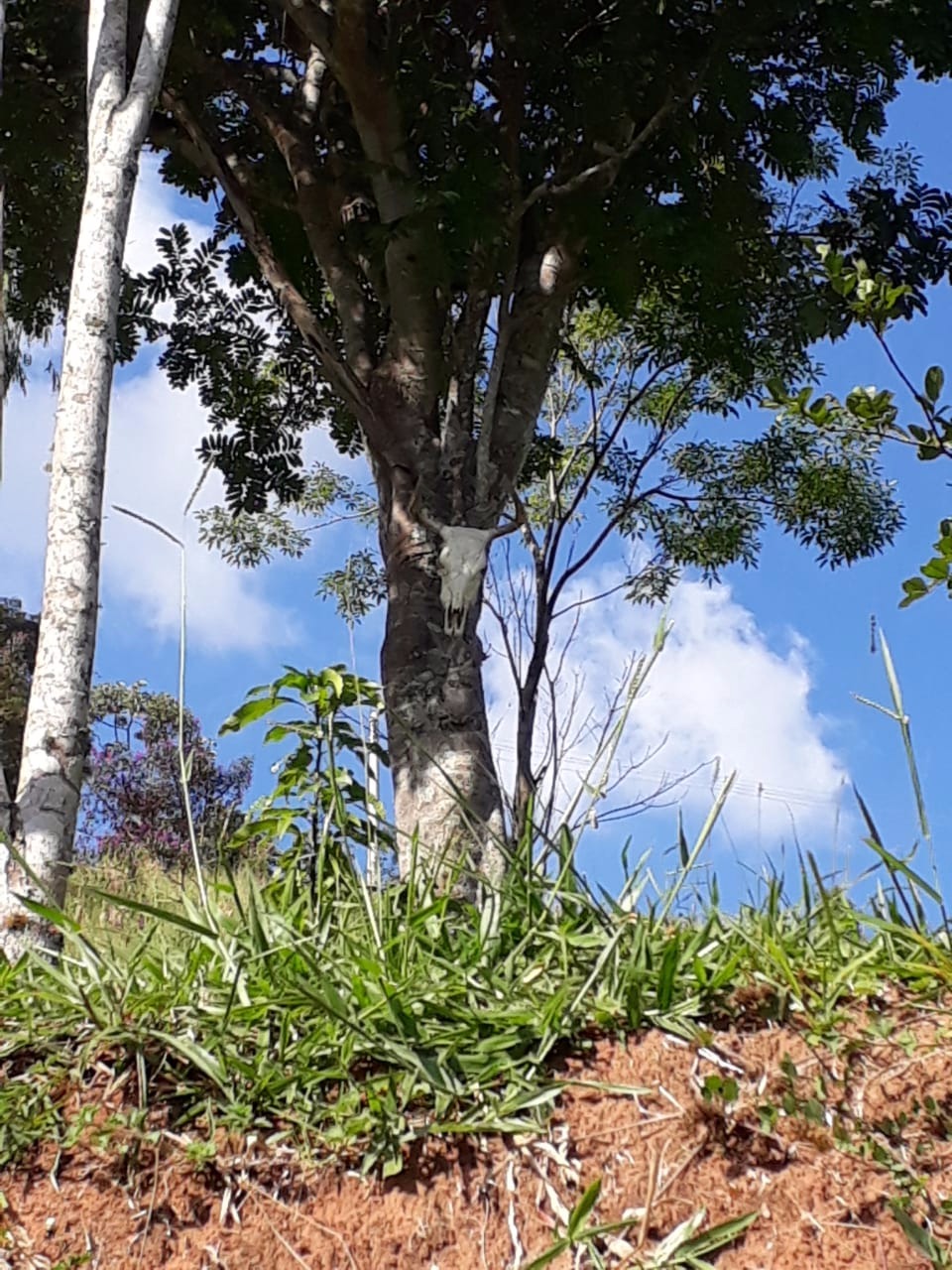 Chácara de 1 ha em Taubaté, SP