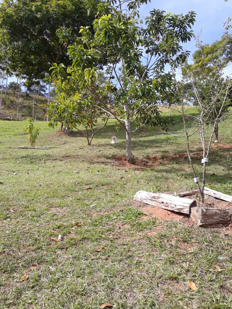 Chácara de 1 ha em Taubaté, SP