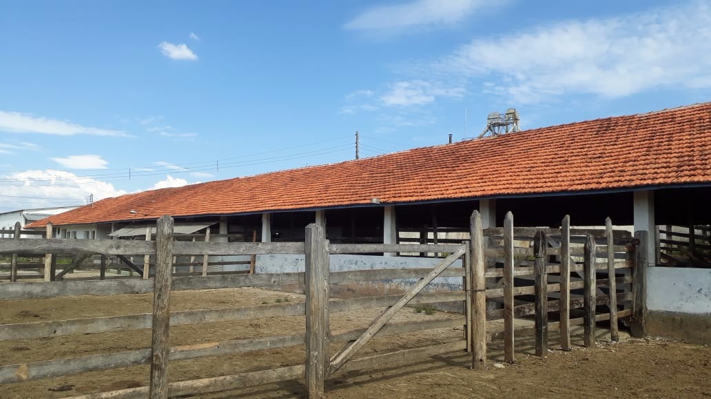 Fazenda de 457 ha em São Lourenço, MG