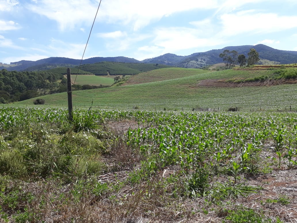 Fazenda de 457 ha em São Lourenço, MG