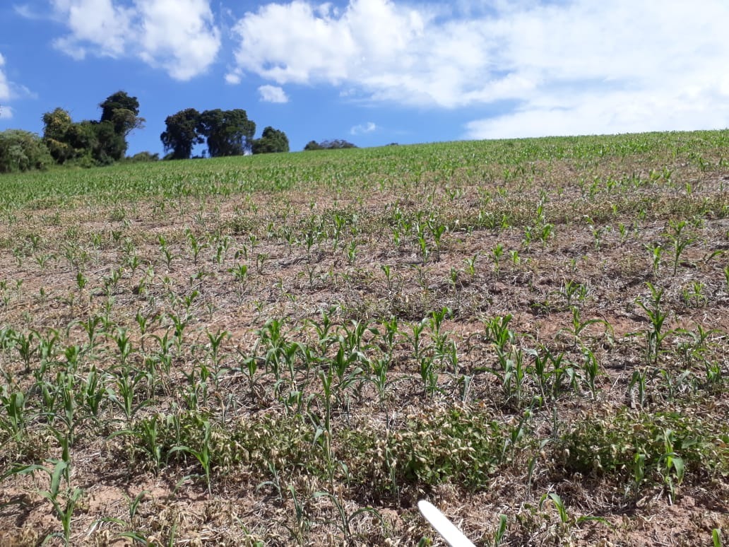 Fazenda de 457 ha em São Lourenço, MG