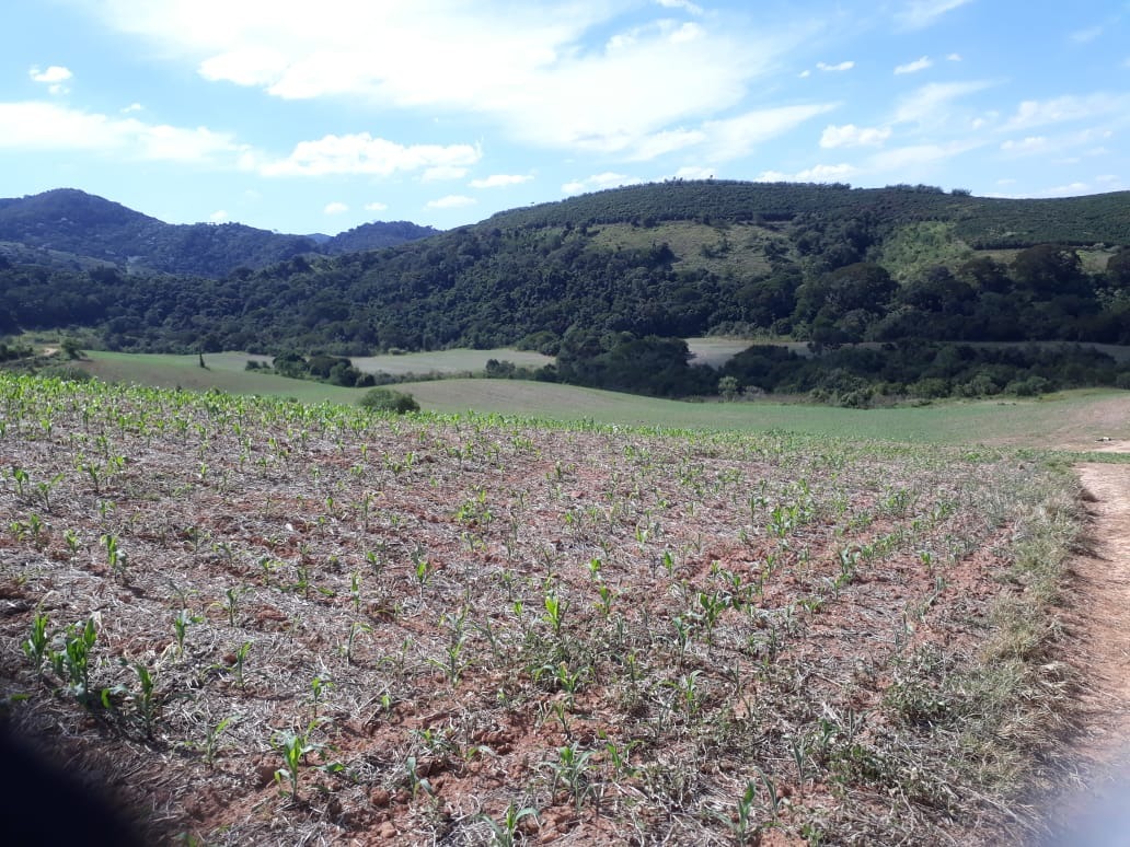 Fazenda de 457 ha em São Lourenço, MG