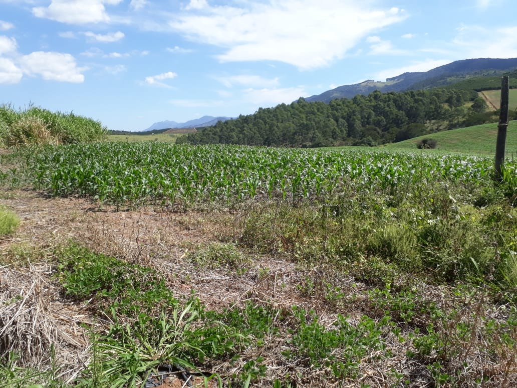 Fazenda de 457 ha em São Lourenço, MG