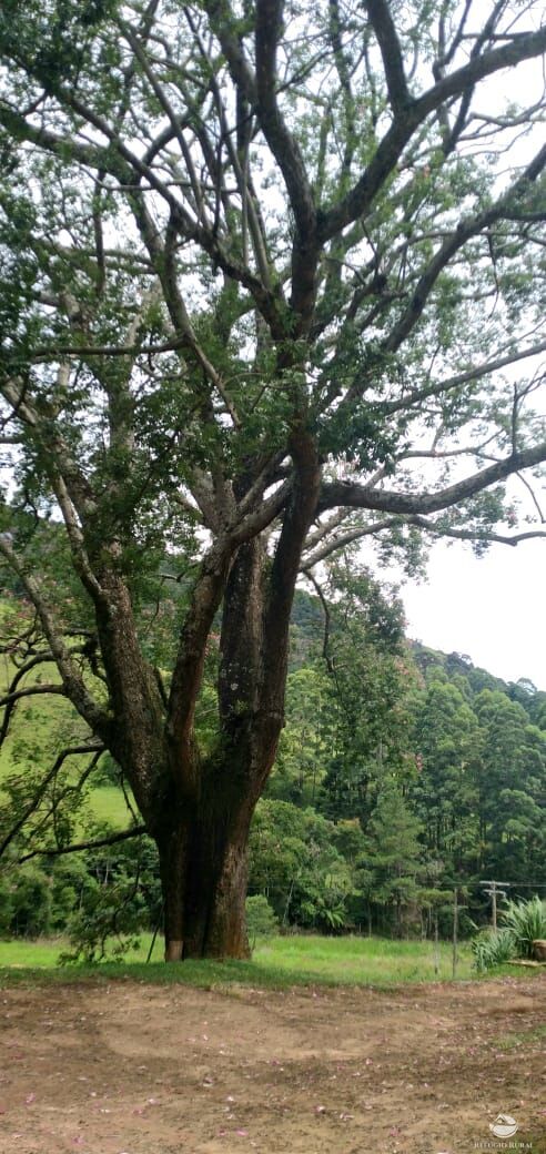 Fazenda de 107 ha em Joanópolis, SP