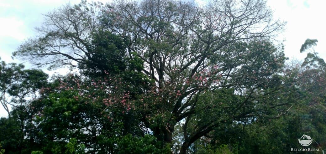 Fazenda de 107 ha em Joanópolis, SP