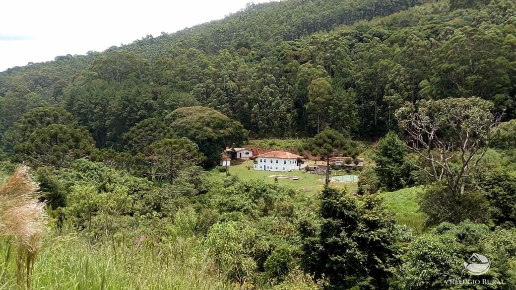 Fazenda de 107 ha em Joanópolis, SP