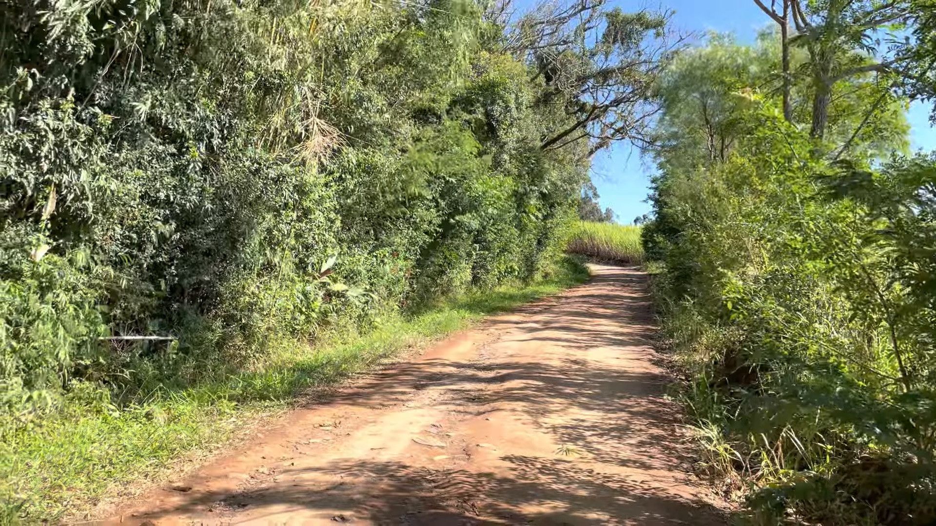 Chácara de 9.000 m² em Santo Antônio da Patrulha, RS