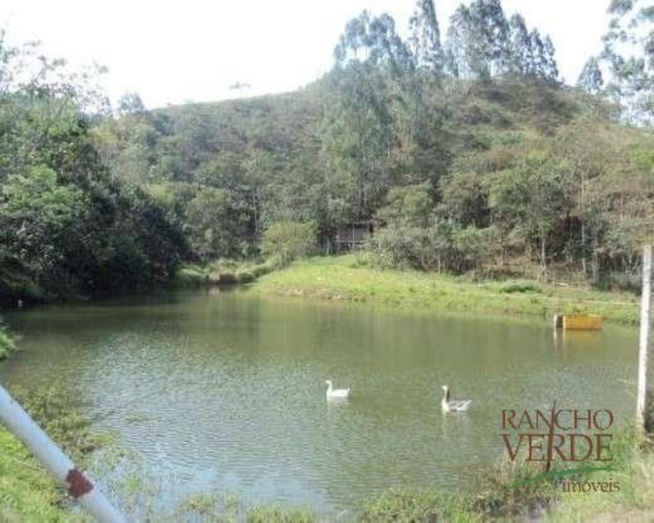 Sítio de 3 ha em Monteiro Lobato, SP