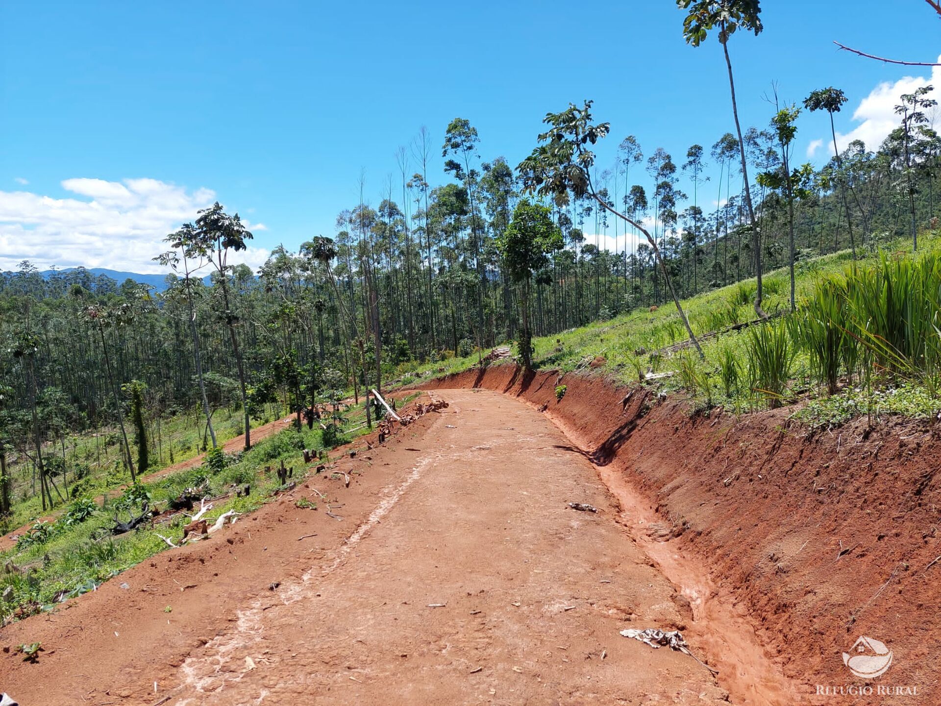 Terreno de 3 ha em Monteiro Lobato, SP