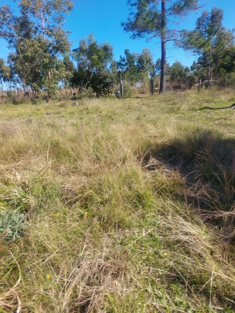 Terreno de 2.248 m² em Eldorado do Sul, RS