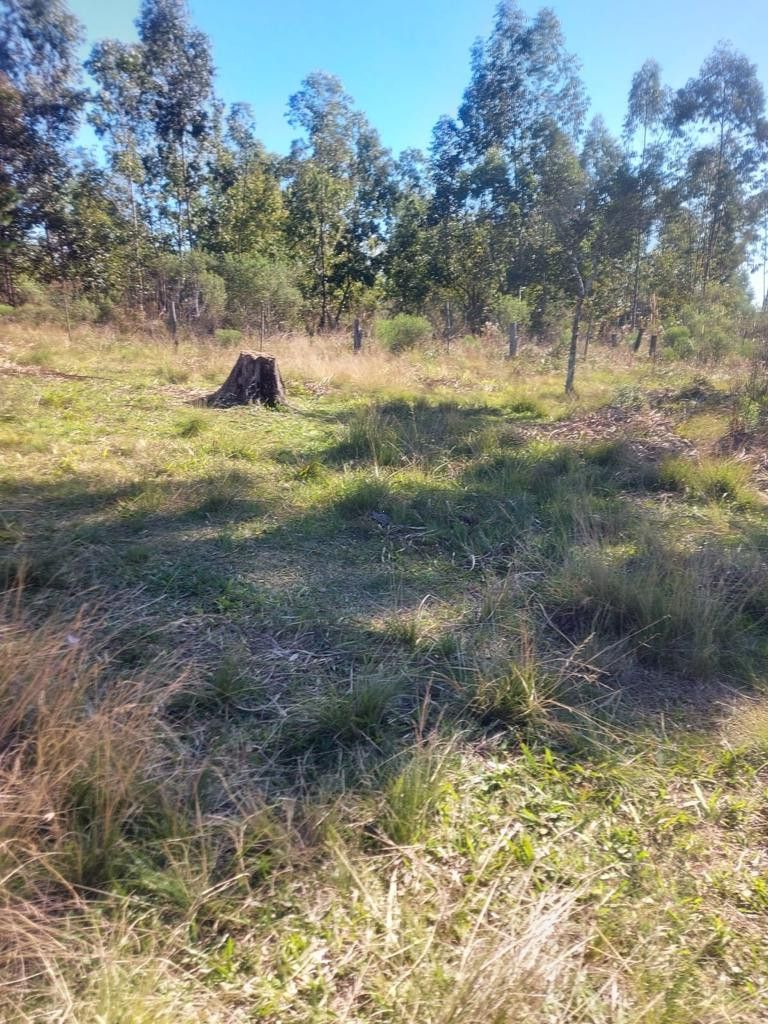 Terreno de 2.248 m² em Eldorado do Sul, RS