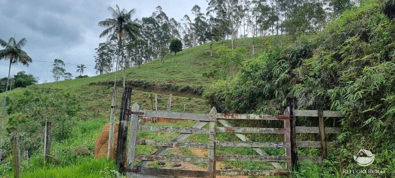 Sítio de 7 ha em São José dos Campos, SP