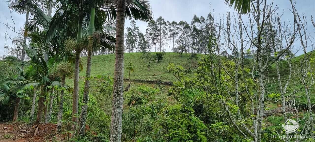 Sítio de 7 ha em São José dos Campos, SP