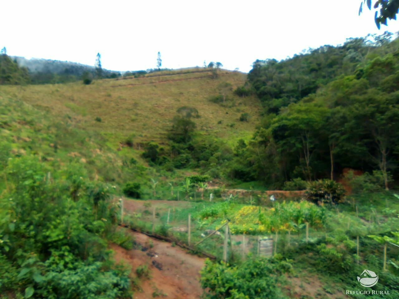 Sítio de 25 ha em Natividade da Serra, SP