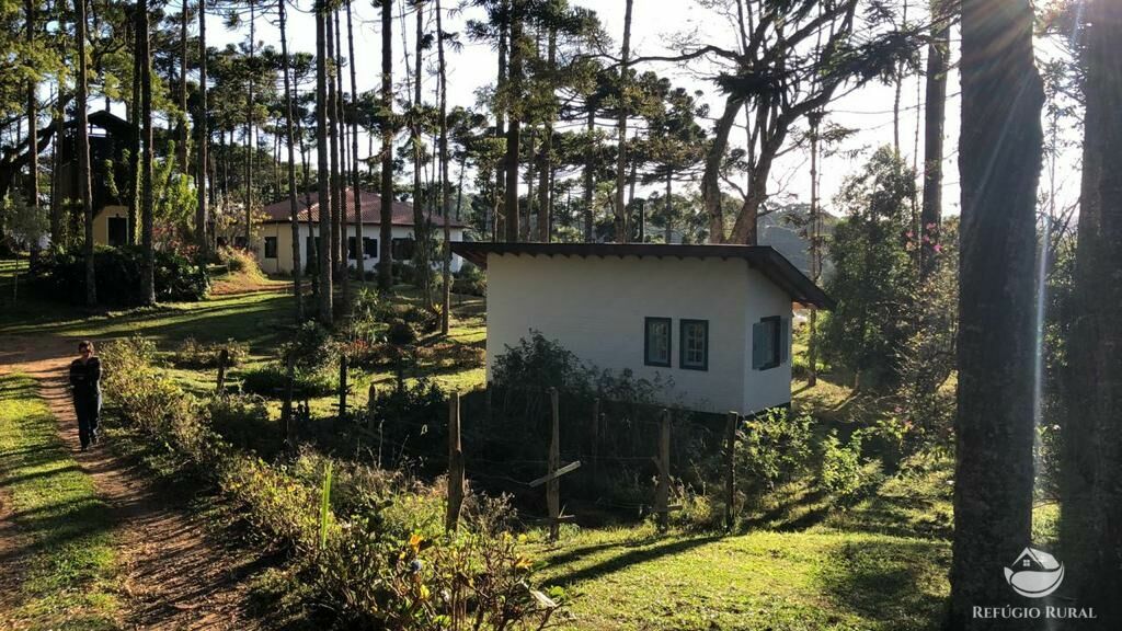 Sítio de 11 ha em Sapucaí-Mirim, MG