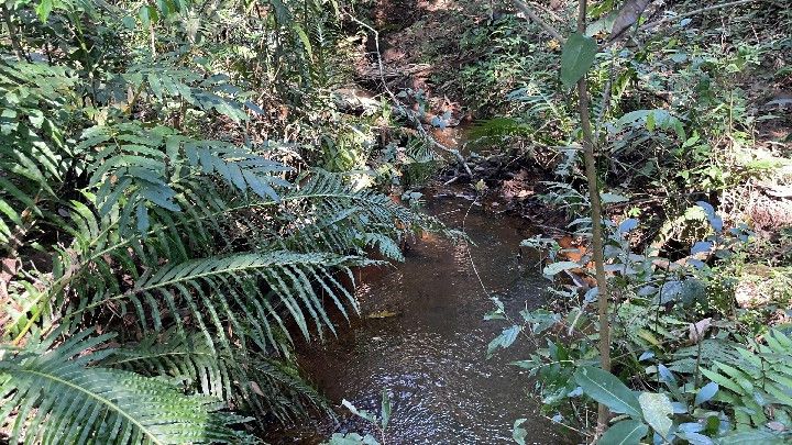 Chácara de 6.800 m² em Santo Antônio da Patrulha, RS