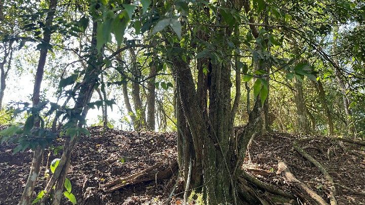 Chácara de 6.800 m² em Santo Antônio da Patrulha, RS