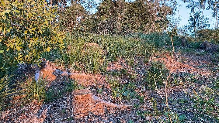 Chácara de 6.800 m² em Santo Antônio da Patrulha, RS