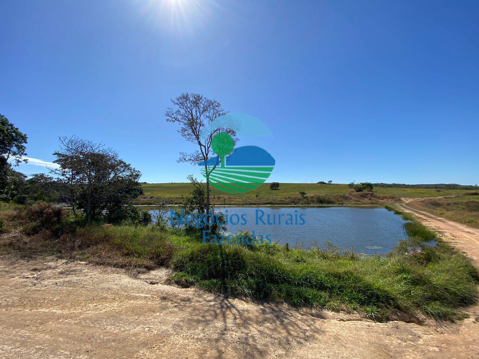 Fazenda de 556 ha em Pires do Rio, GO