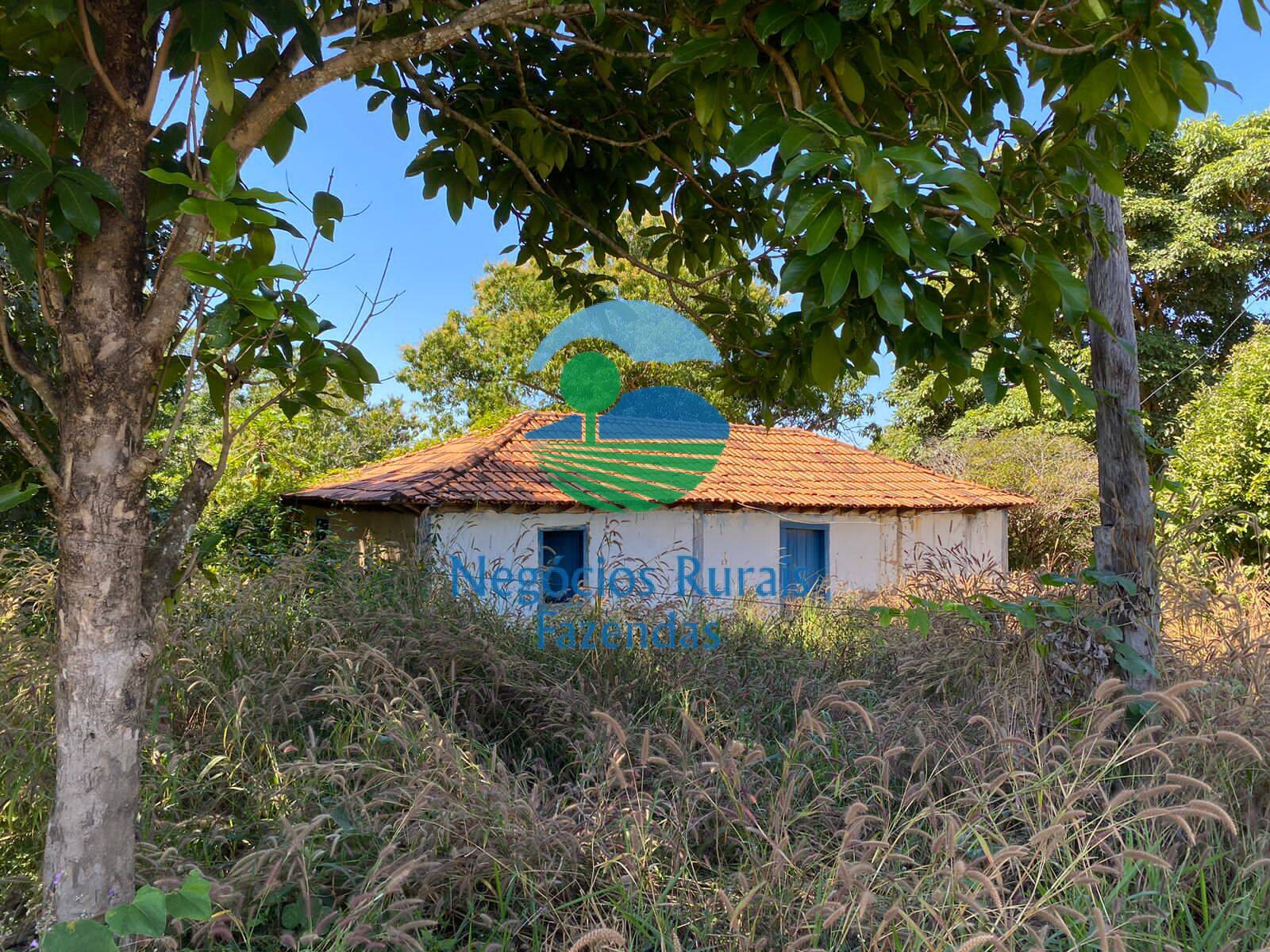 Fazenda de 556 ha em Pires do Rio, GO