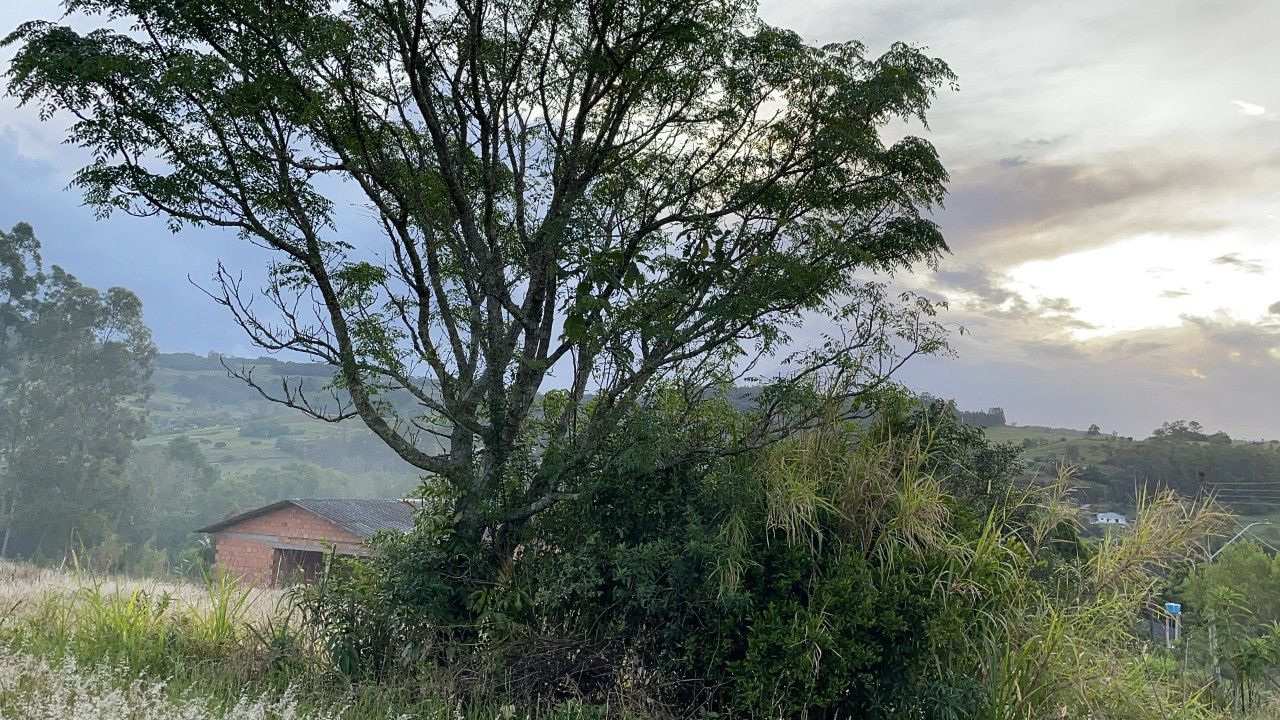 Terreno de 3.478 m² em Caraá, RS