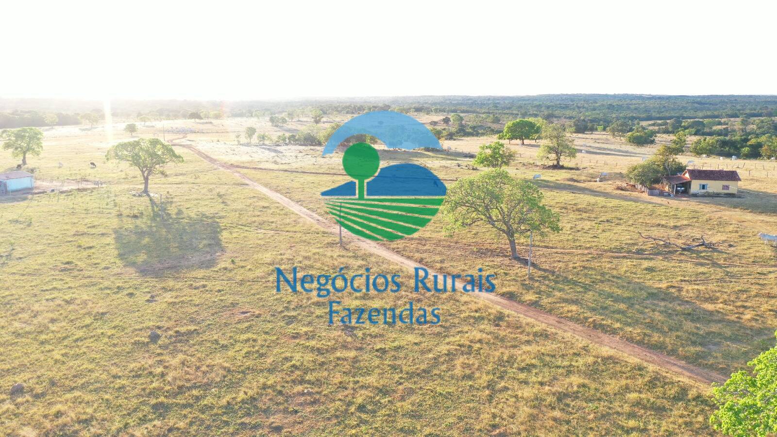 Fazenda de 1.645 ha em Crixás, GO