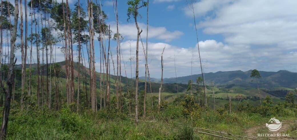 Terreno de 2 ha em Monteiro Lobato, SP