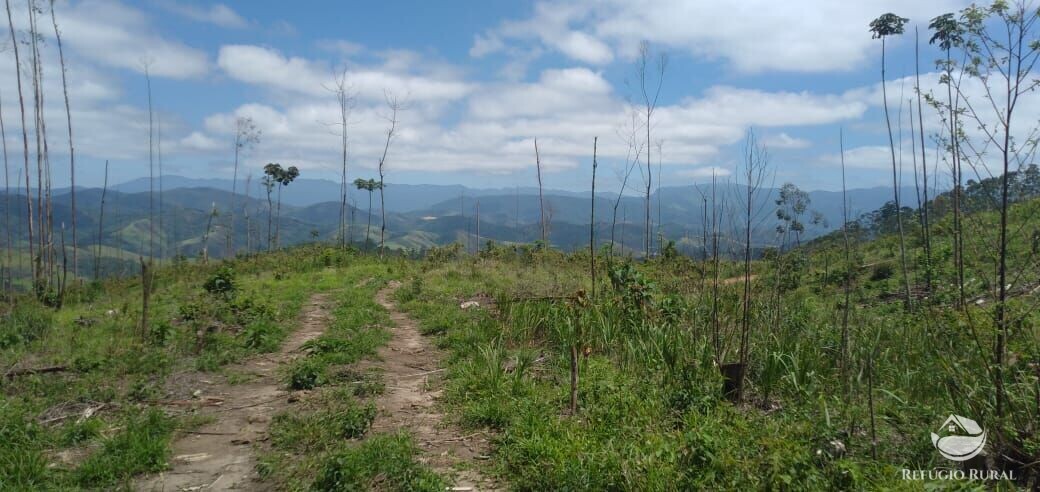 Terreno de 2 ha em Monteiro Lobato, SP