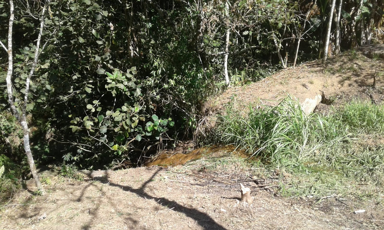 Chácara de 2 ha em São José dos Campos, SP