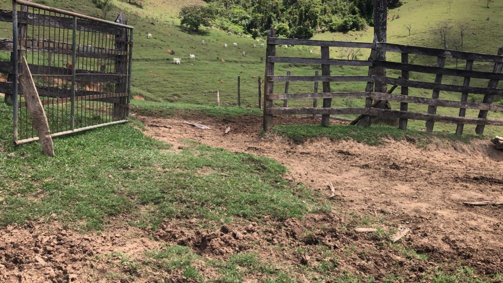 Terreno de 84 ha em Congonhal, MG