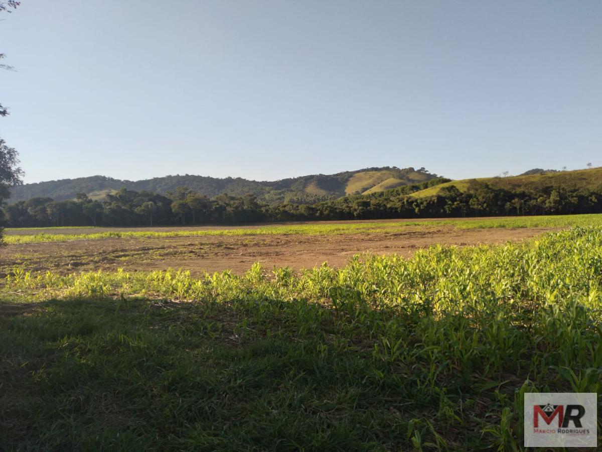 Fazenda de 178 ha em Carmo de Minas, MG