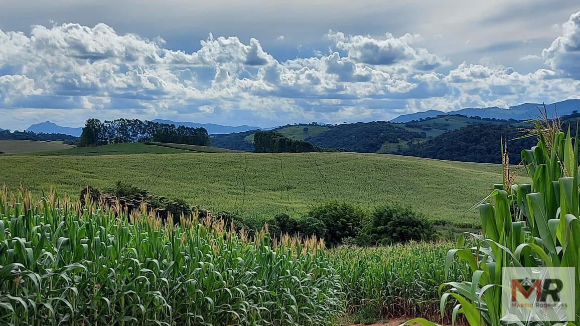 Fazenda de 178 ha em Carmo de Minas, MG