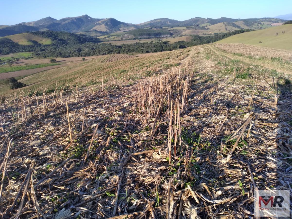 Fazenda de 178 ha em Carmo de Minas, MG