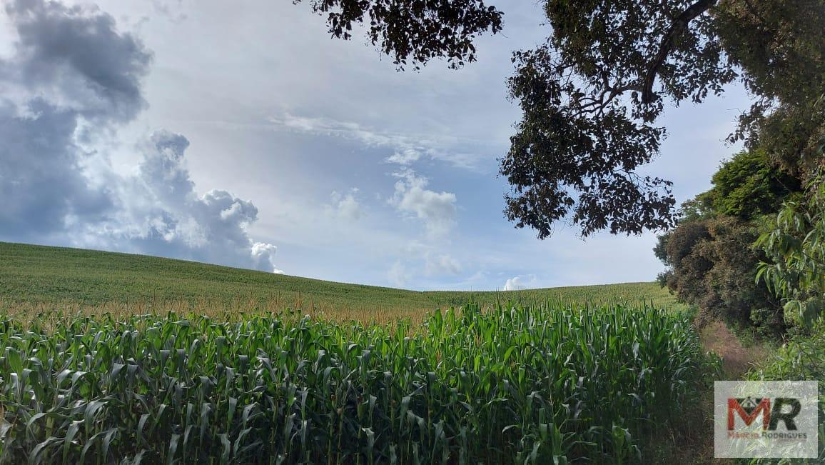 Fazenda de 178 ha em Carmo de Minas, MG