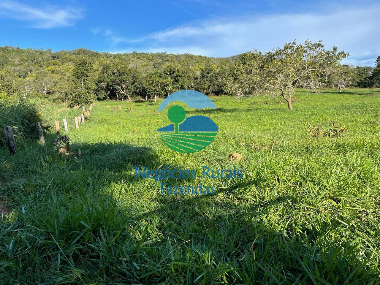 Fazenda de 145 ha em Campinaçu, GO