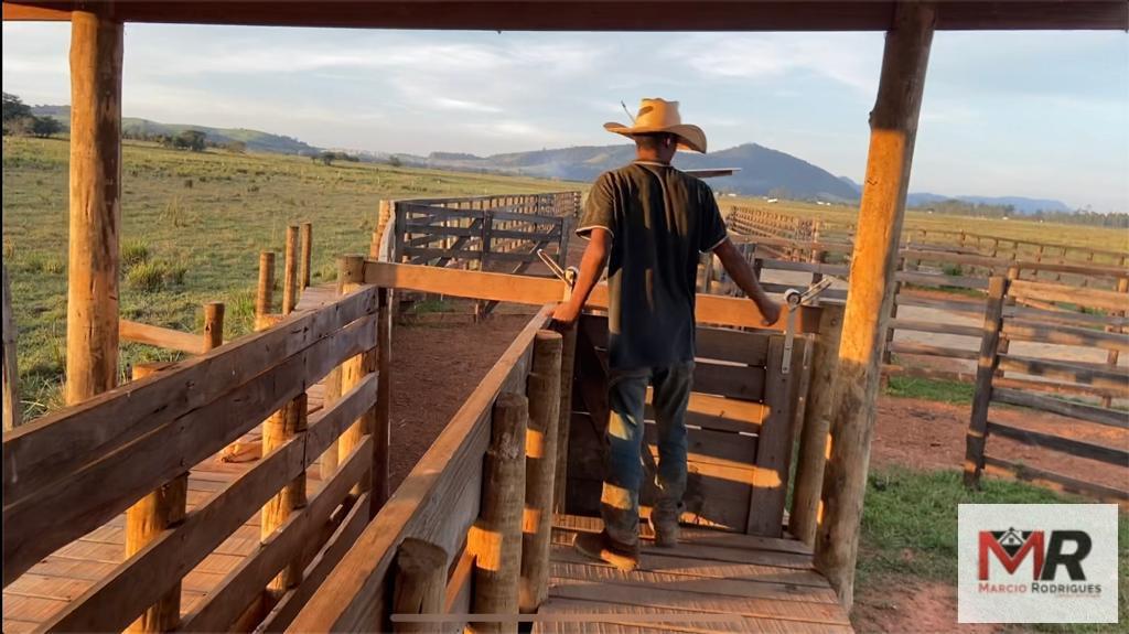 Fazenda de 175 ha em Careaçu, MG