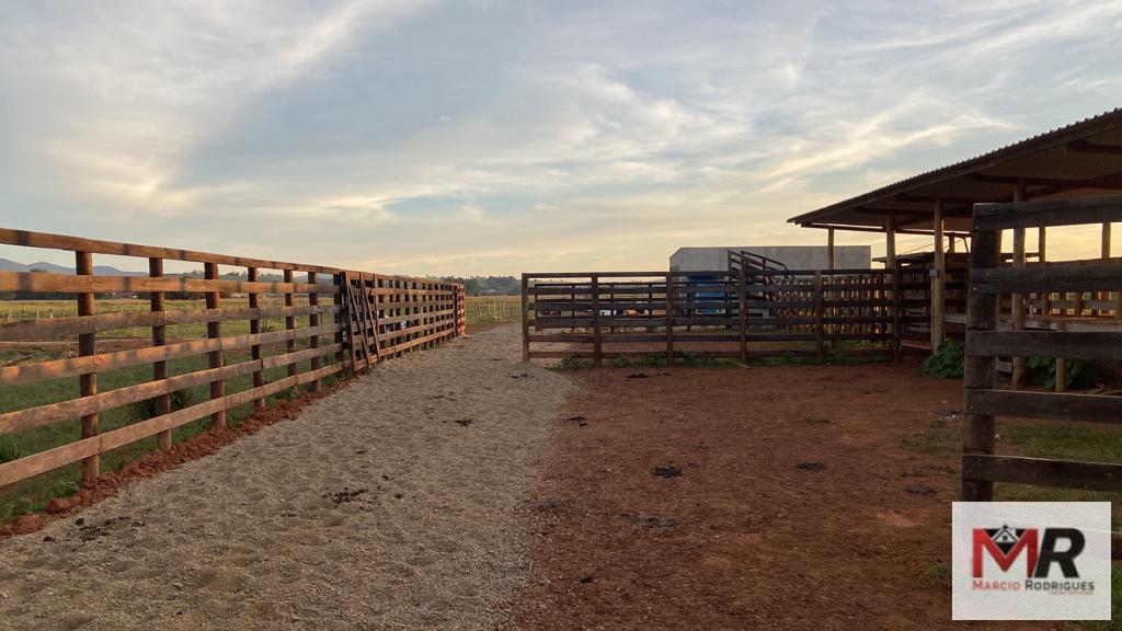 Fazenda de 175 ha em Careaçu, MG