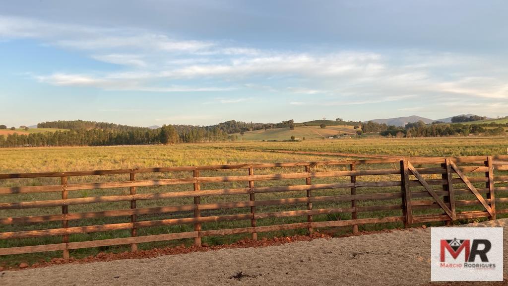 Fazenda de 175 ha em Careaçu, MG