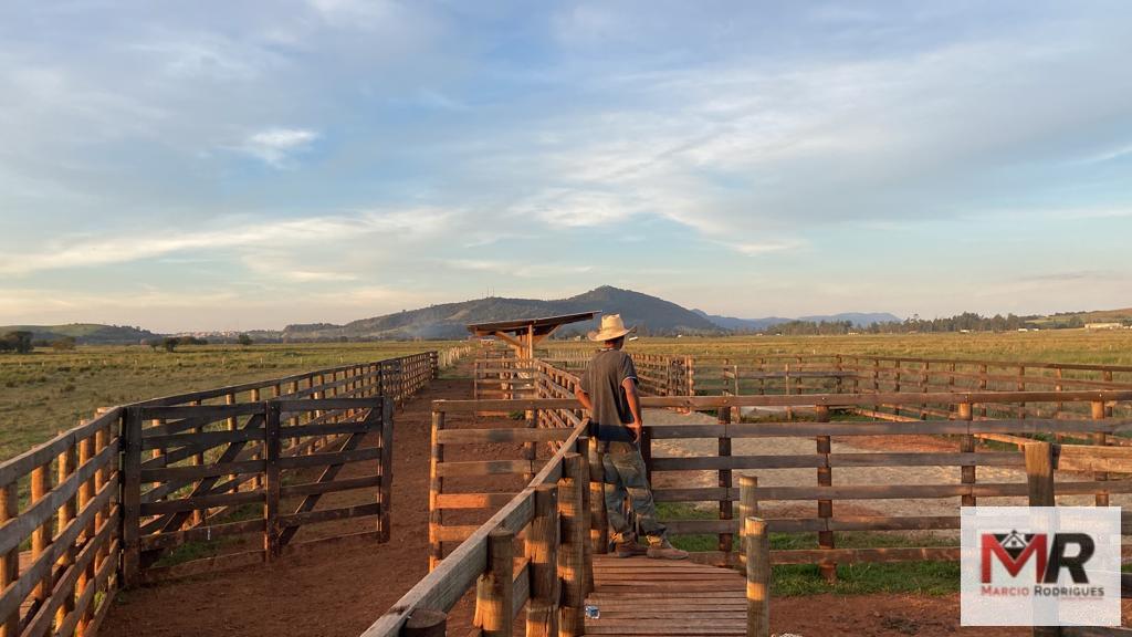 Fazenda de 175 ha em Careaçu, MG