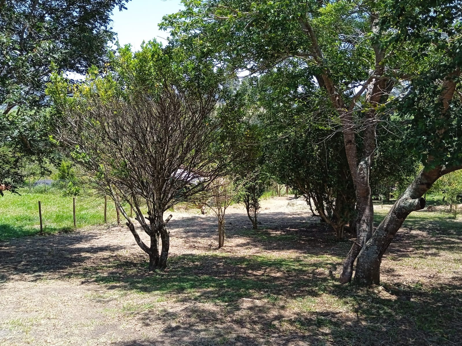 Chácara de 3.000 m² em Paraibuna, SP