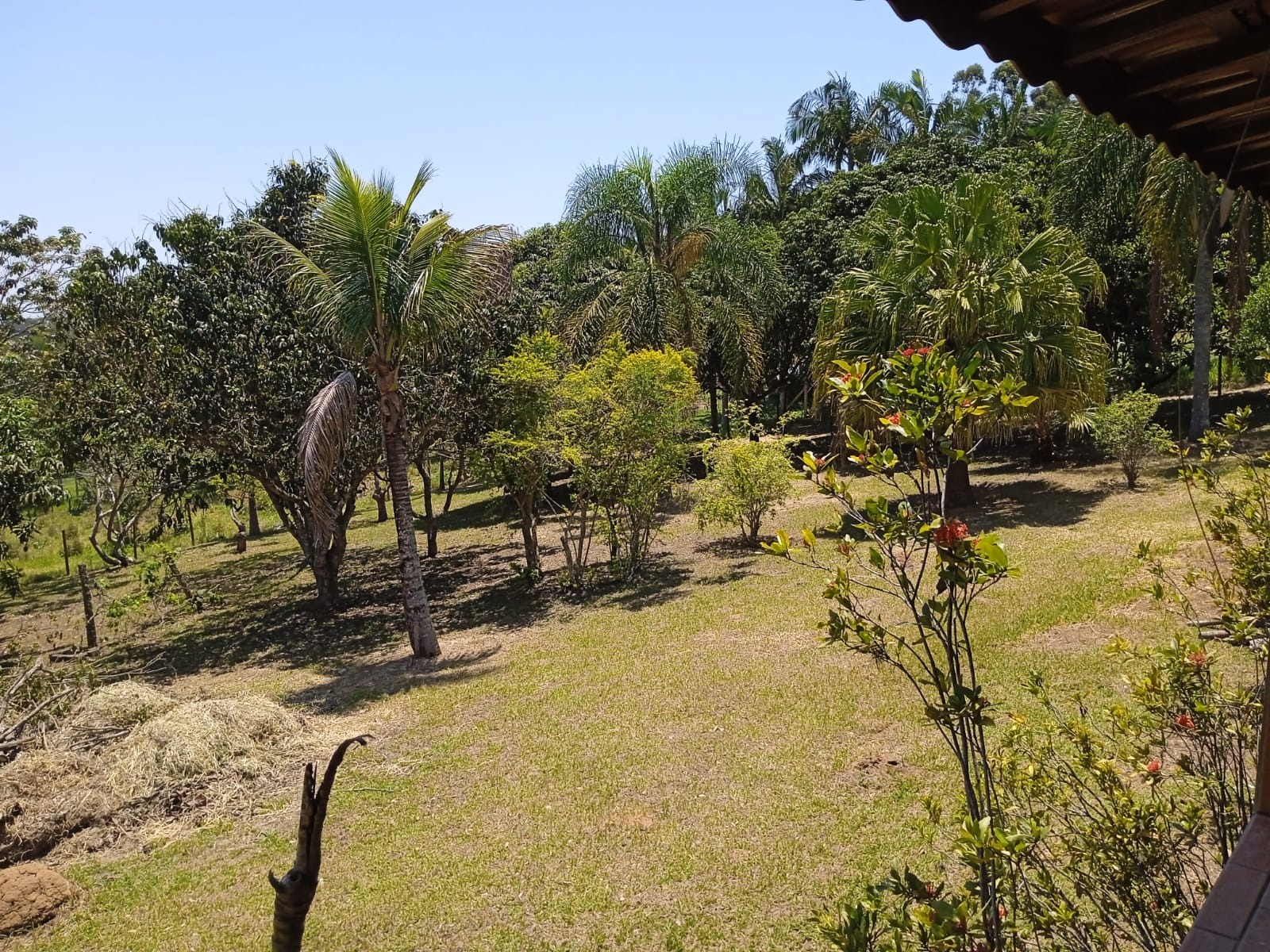 Chácara de 3.000 m² em Paraibuna, SP