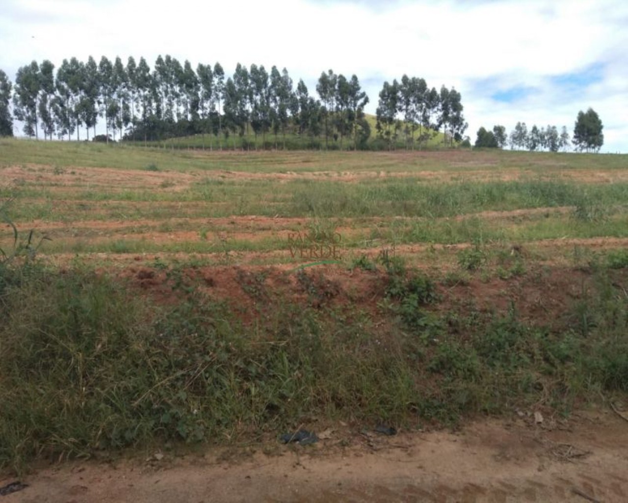 Fazenda de 245 ha em Divinolândia, SP