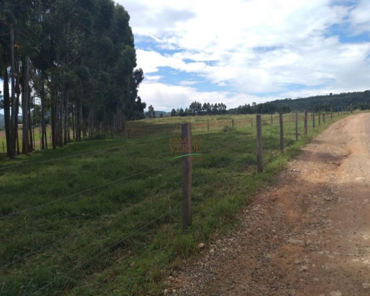 Fazenda de 245 ha em Divinolândia, SP