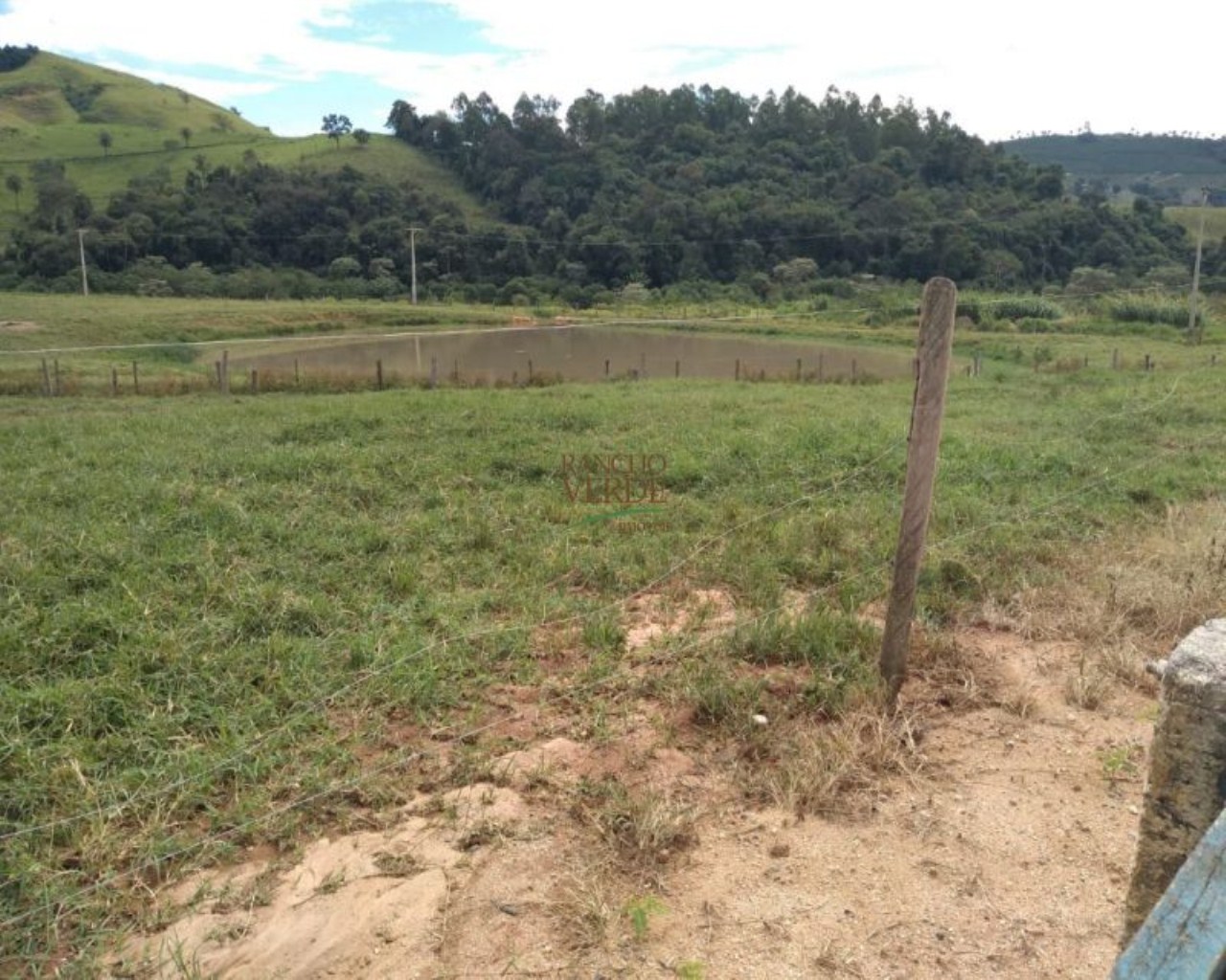 Fazenda de 245 ha em Divinolândia, SP