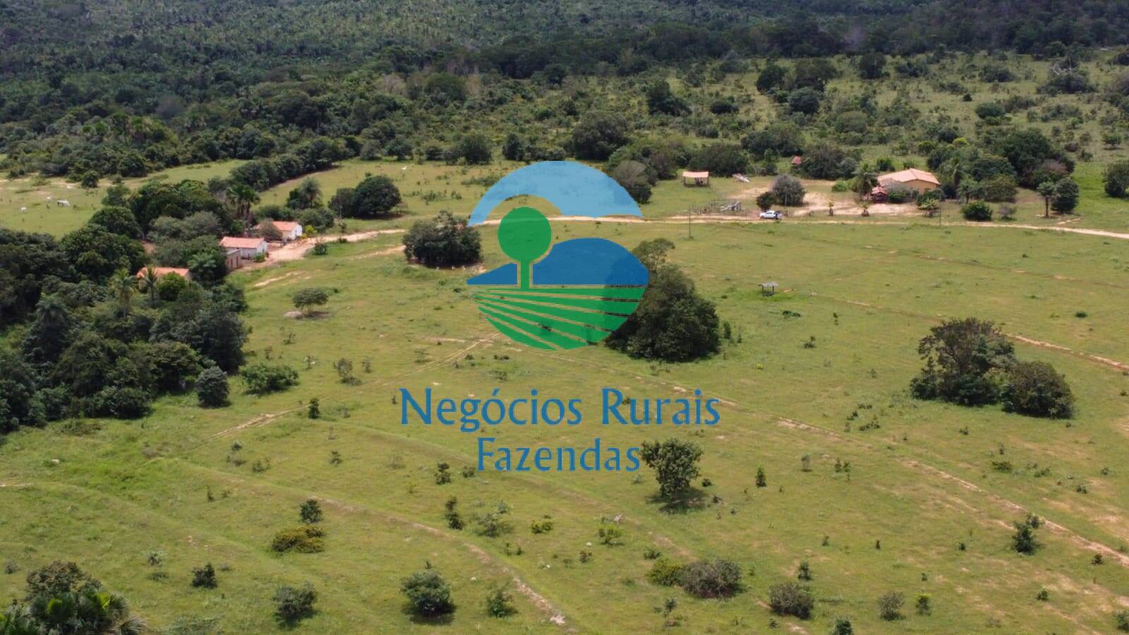 Fazenda de 4.461 ha em Goiatins, TO