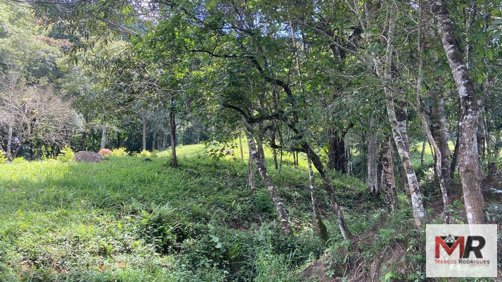 Terreno de 8 ha em Espírito Santo do Dourado, MG