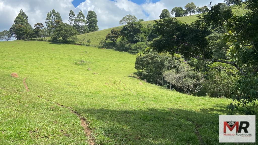 Terreno de 8 ha em Espírito Santo do Dourado, MG